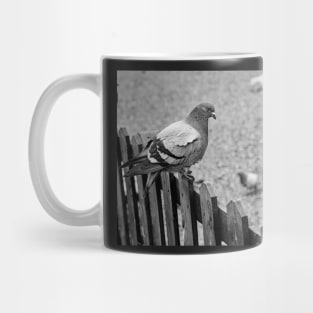 Pigeon on the fence Mug